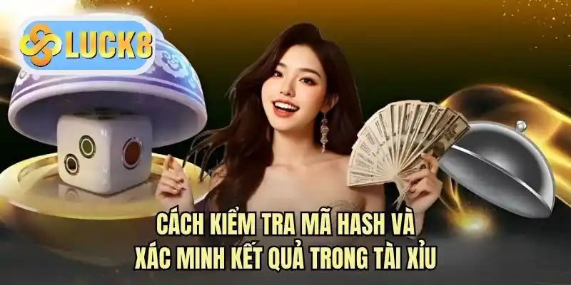 Cách kiểm tra mã hash và xác minh kết quả trong tài xỉu