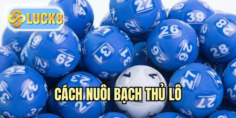 Cách Nuôi Bạch Thủ Lô Hiệu Quả Từ Chia Sẻ Bởi Chuyên Gia