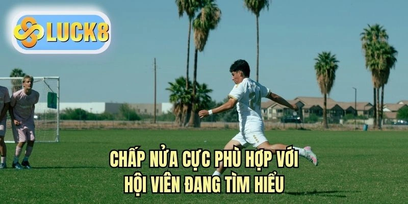 Chấp nửa cực phù hợp với hội viên đang tìm hiểu