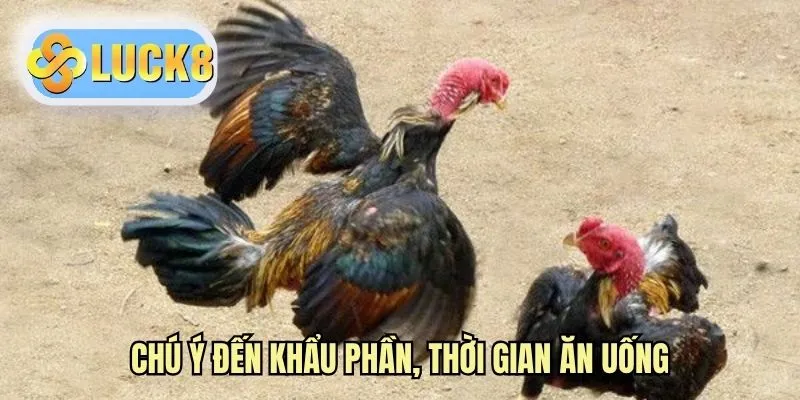 Chú ý đến khẩu phần, thời gian ăn uống