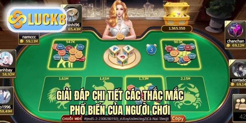 Giải đáp chi tiết các thắc mắc phổ biến của người chơi
