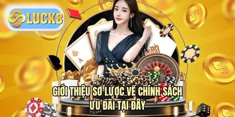 Giới thiệu sơ lược về chính sách ưu đãi tại đây