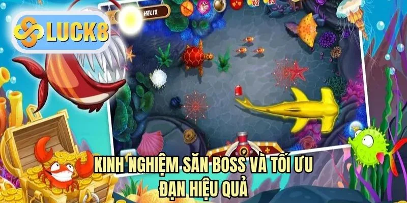 Kinh nghiệm săn boss và tối ưu đạn hiệu quả