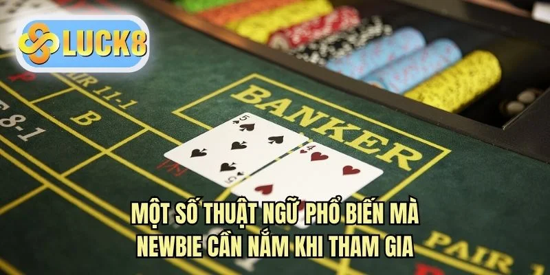 Một số thuật ngữ phổ biến mà newbie cần nắm khi tham gia