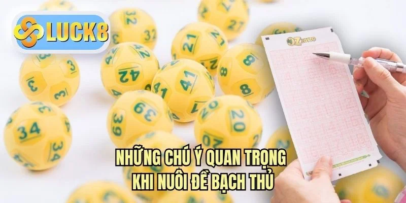 Những chú ý quan trọng khi nuôi đề bạch thủ