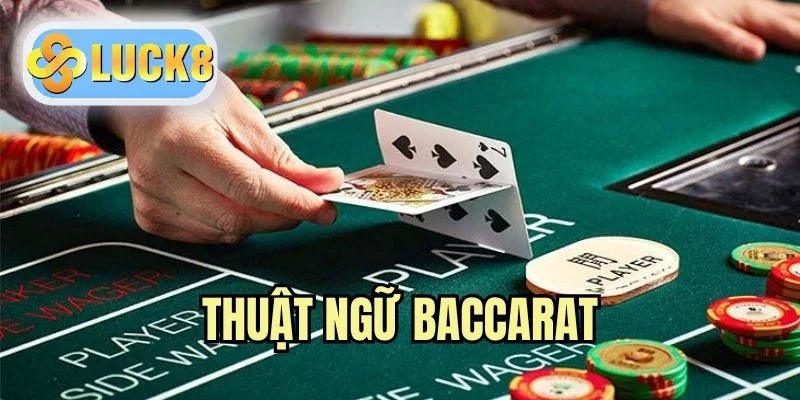Thuật Ngữ Baccarat - Cập Nhật Thông Tin Hay Trước Khi Chơi