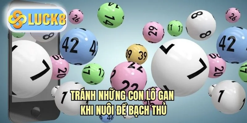Tránh những con lô gan khi nuôi đề bạch thủ
